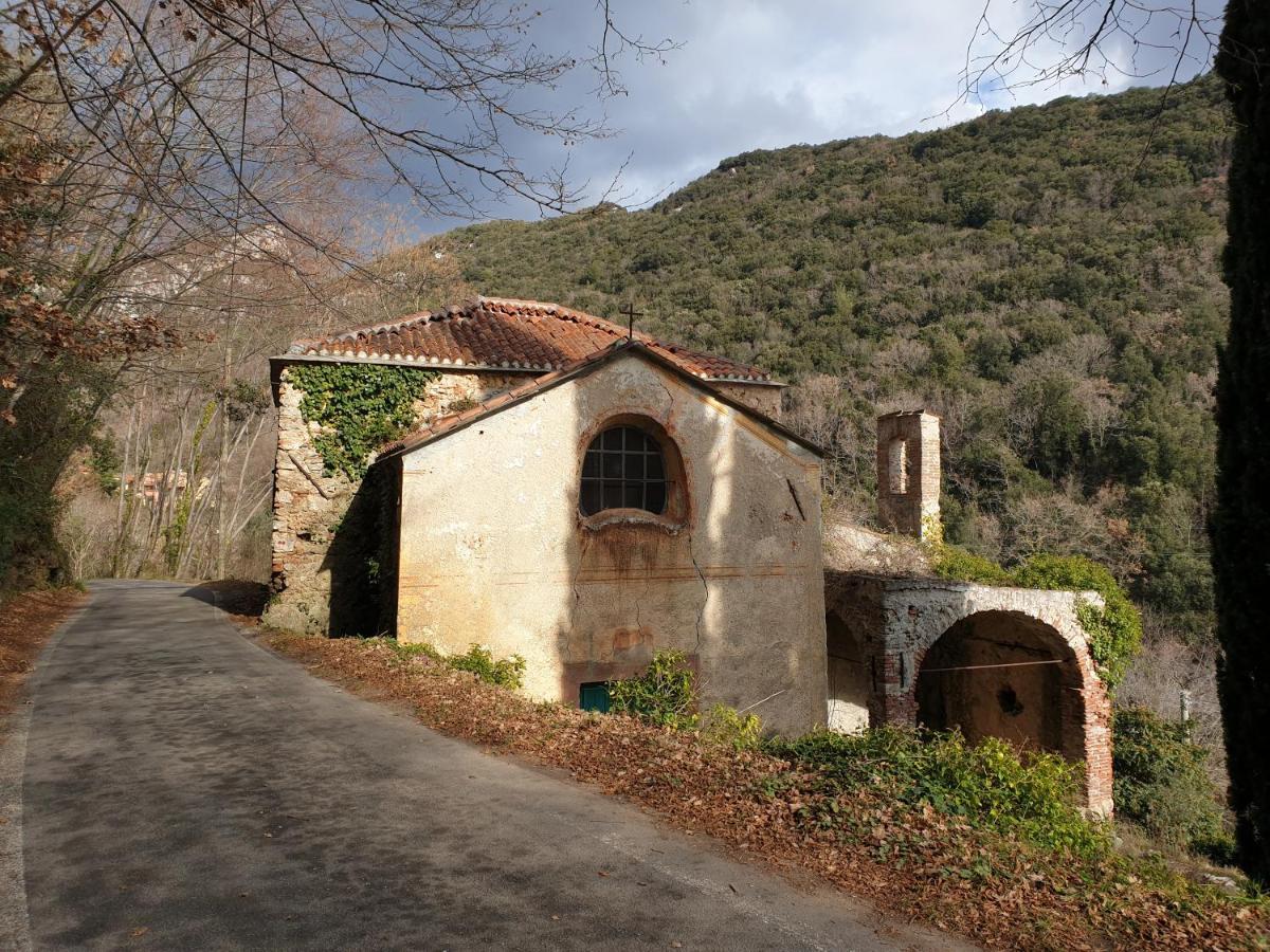 Agriturismo Alveare ฟีนาเลลีกูเร ภายนอก รูปภาพ