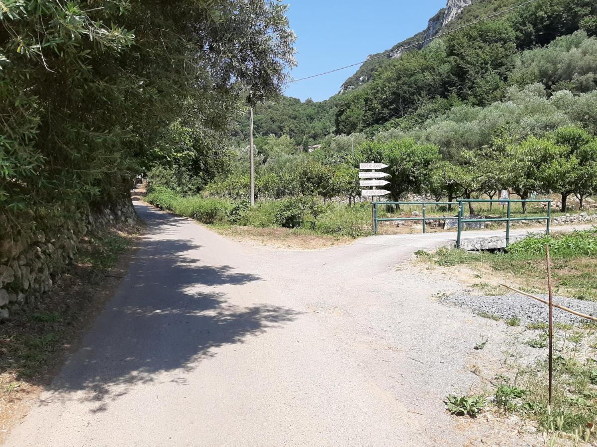 Agriturismo Alveare ฟีนาเลลีกูเร ภายนอก รูปภาพ