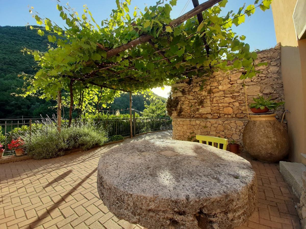 Agriturismo Alveare ฟีนาเลลีกูเร ภายนอก รูปภาพ