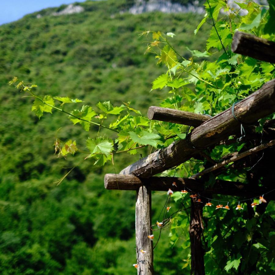 Agriturismo Alveare ฟีนาเลลีกูเร ภายนอก รูปภาพ