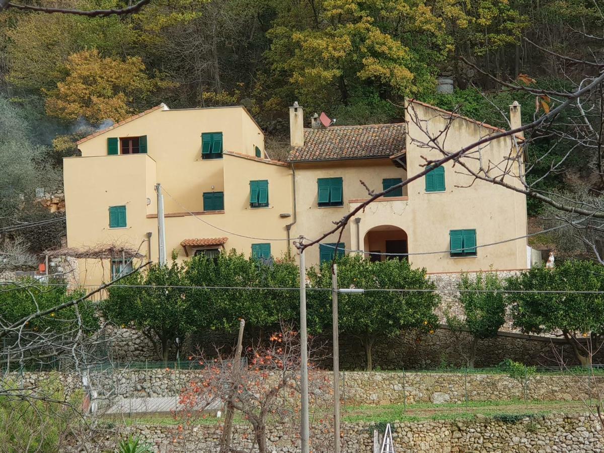 Agriturismo Alveare ฟีนาเลลีกูเร ภายนอก รูปภาพ