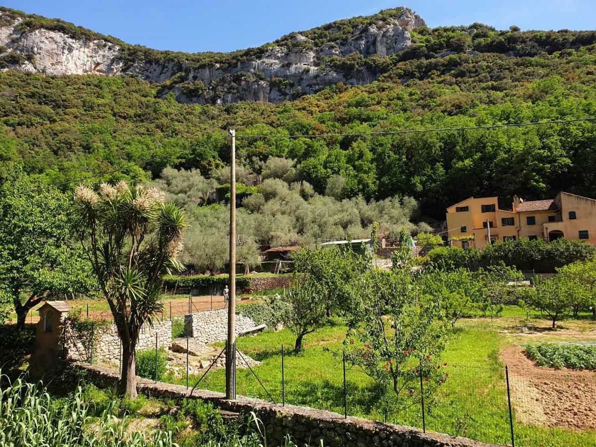Agriturismo Alveare ฟีนาเลลีกูเร ภายนอก รูปภาพ