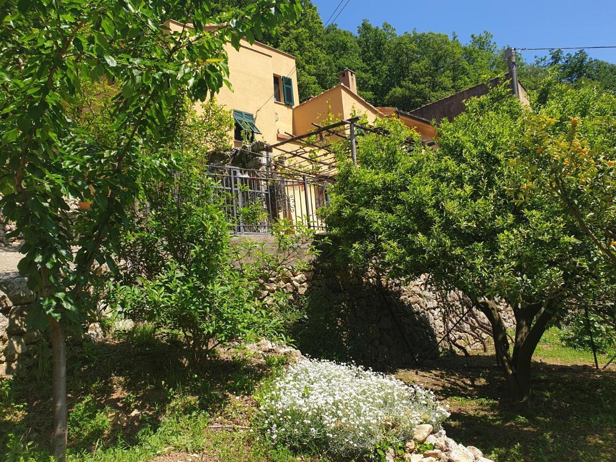 Agriturismo Alveare ฟีนาเลลีกูเร ภายนอก รูปภาพ